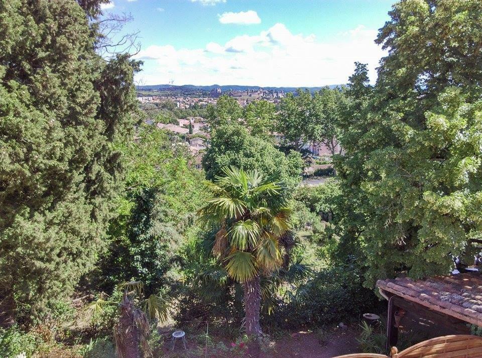 Gîte avec vue imprenable sur la Cité Carcasona Exterior foto